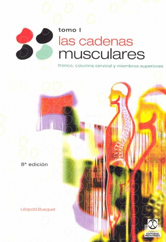 CADENAS MUSCULARES, LAS