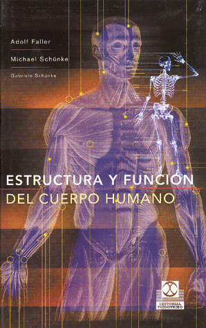 ESTRUCTURA Y FUNCION DEL CUERPO HUMANO