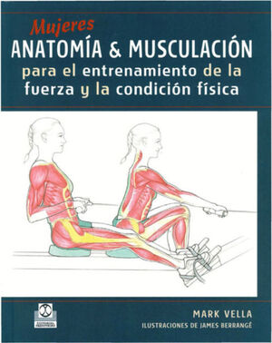 MUJERES ANATOMIA Y MUSCULACION