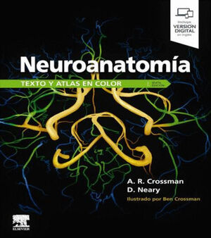 NEUROANATOMIA. TEXTO ATLAS EN COLOR