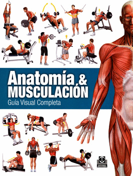 ANATOMIA & MUSCULACION