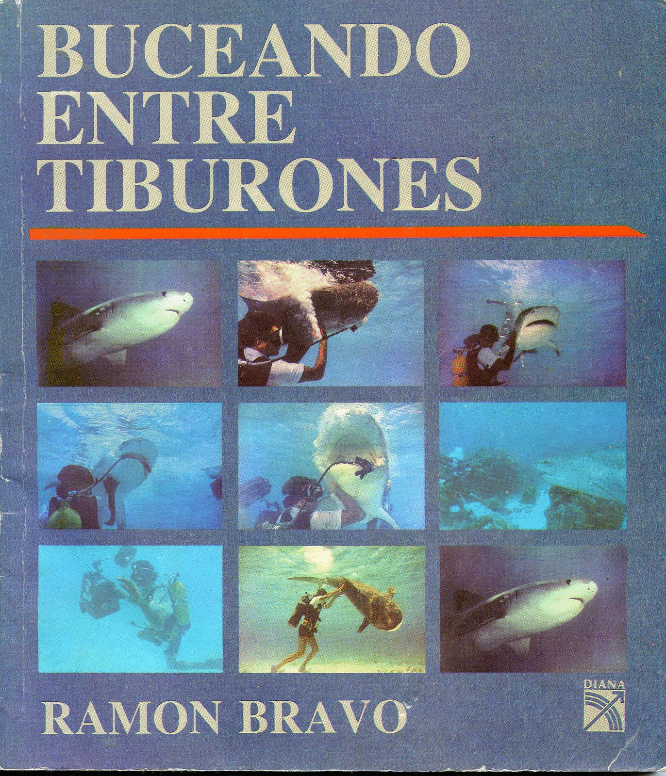 BUCEANDO ENTRE TIBURONES