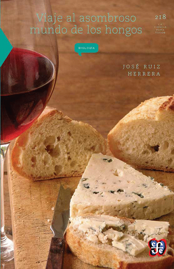 VIAJE AL ASOMBROSO MUNDO DE LOS HONGOS