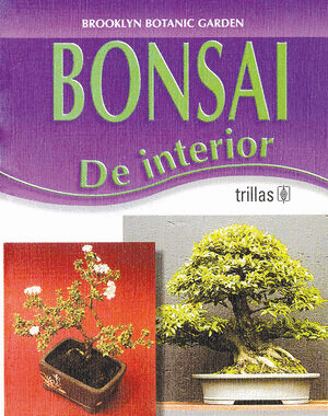 BONSAI DE INTERIOR