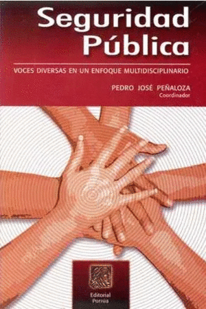 SEGURIDAD PÚBLICA VOCES DIVERSAS EN UN ENFOQUE MULTIDISCIPLINARIO
