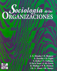 SOCIOLOGIA DE LAS ORGANIZACIONES