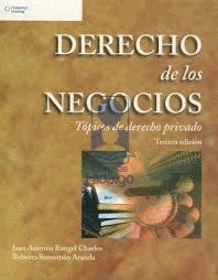 DERECHO DE LOS NEGOCIOS, TOPICOS DE DERECHO PRIVADO