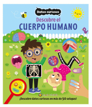 DATOS CURIOSOS: DESCUBRE EL CUERPO HUMANO