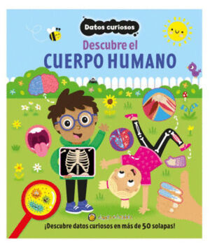 DATOS CURIOSOS: DESCUBRE EL CUERPO HUMANO